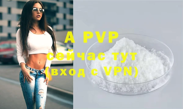 индика Алексин