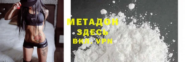 индика Алексин