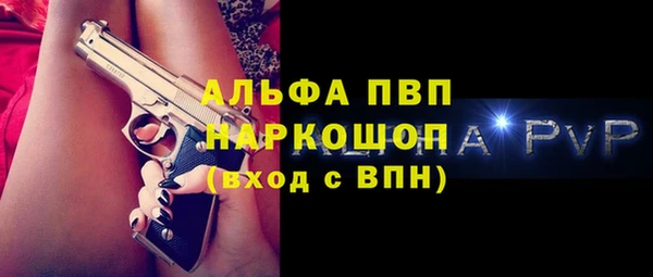 стаф Алзамай