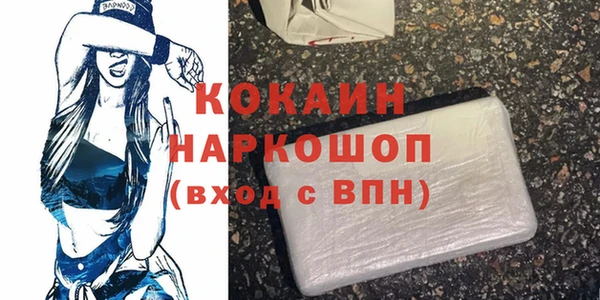 стаф Алзамай