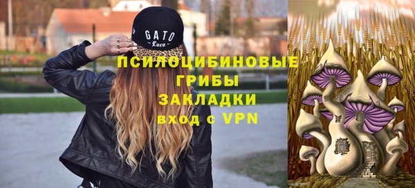 стаф Алзамай