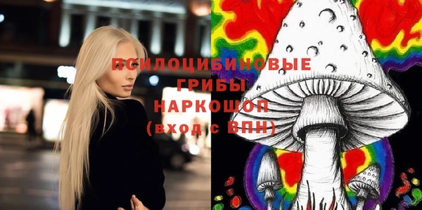 индика Алексин