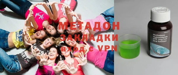 индика Алексин