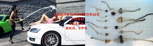 индика Алексин